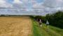 More fields to Belchford More fields to Belchford