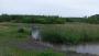 Edlington pit pond