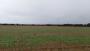 Steelworks in the far distance Steelworks in the far distance