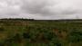 Risby Warren (very pleasent) Risby Warren (very pleasent)