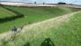 Another hill!! Another hill!!