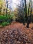 Autumns Here Autumns Here