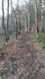 The old rail line The old rail line