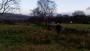 Last fields of the day. 15ml Le Tour de Pied Last fields of the day. 15ml Le Tour de Pied