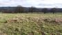 Deer park Deer park