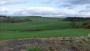 Rolling Hills Rolling Hills