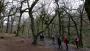 Padley Gorge Padley Gorge