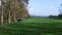 A pleasant afternoon walk along the Derwent A pleasant afternoon walk along the Derwent