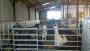 In a barn not too far away In a barn not too far away