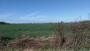 Hills! Hills!