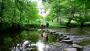 Stepping Stones (Roy & Kirsty) Stepping Stones (Roy & Kirsty)