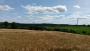 Fields of Barley Fields of Barley