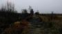 Thorne Moor Thorne Moor