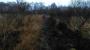 Crowle Moor Crowle Moor