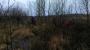 Crowle Moor Crowle Moor
