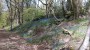 Nice path here Nice path here