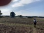 Some lush plowed fields today Some lush plowed fields today