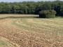 More fields and dried muck this afternoon More fields and dried muck this afternoon