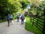 15 Almost back! - Daw Wells Farm 15 Almost back! - Daw Wells Farm