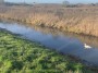 River Torn River Torn