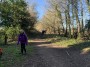 thru the woods thru the woods