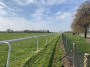 Racecourse Racecourse