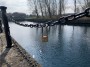 Love Locks Love Locks