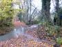 08 The preferred option! - Bridle Road Wood 08 The preferred option! - Bridle Road Wood