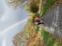 A Rainbow A Rainbow