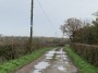 Lovely Wet paths today Lovely Wet paths today