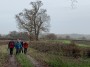 Wandering Group Wandering Group