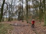 Howell Wood Howell Wood