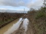A bit wet A bit wet