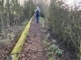A nice path A nice path