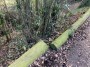 Affluent area, path side banked with telegraph poles Affluent area, path side banked with telegraph poles
