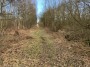Moor path Moor path