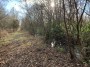 Moor path Moor path