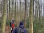 dog walkers paths dog walkers paths
