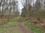 Onto the Hatfield moor - part of the largest low lying moor in Europe Onto the Hatfield moor - part of the largest low lying moor in Europe