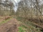 the outer edge path the outer edge path