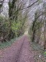 Pathside behind Askern houses Pathside behind Askern houses
