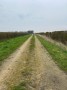 Haggs Lane Haggs Lane