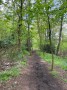 Crowther Wood Old Cantley Crowther Wood Old Cantley