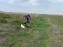 Fetch Fetch