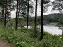 Towards Howden Dam Towards Howden Dam