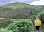 into Peruvian Jungle into Peruvian Jungle