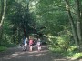 Langold Woods Langold Woods