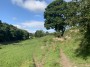 Paths to Roche Abbey Paths to Roche Abbey