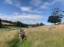 Approaching Approaching