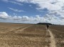 over cut fields over cut fields